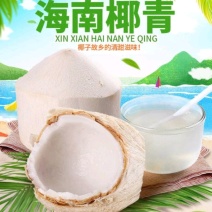 海南特产椰青批发产地直销现厂加工