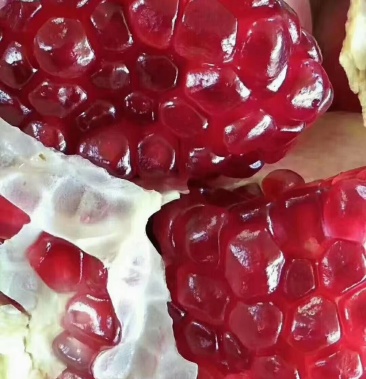 建水县酸石榴自家果园刚刚开园量大从优