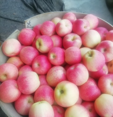 烟台嘎啦苹果请说在一亩田上联系我的