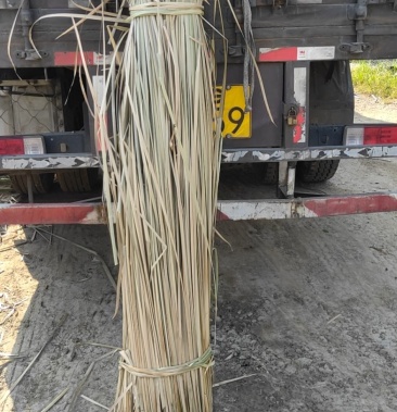 [干蒲草批发]干蒲草价格1.50元/斤 - 一亩田