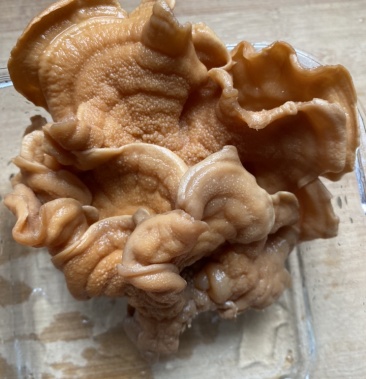 榆耳菌素食榆耳菇榆蘑菇榆树菇五斤包邮灵芝菇