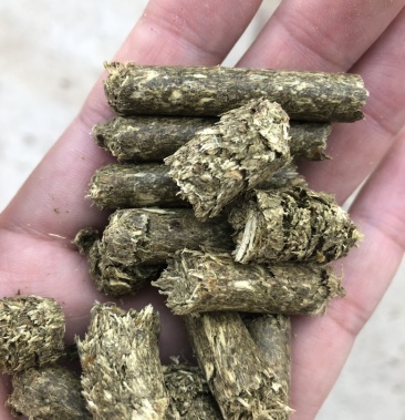 内蒙古牛羊草料饲料柠条颗粒水份13到15纯柠条