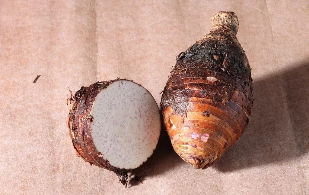 毛芋头的营养成分分析