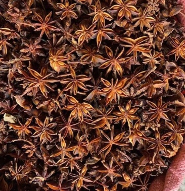 广西特产八角新大红干枝春花全无硫过筛去把