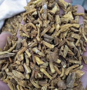 秦艽,云南产正品秦艽片质量保证现货供应,不满意包退!