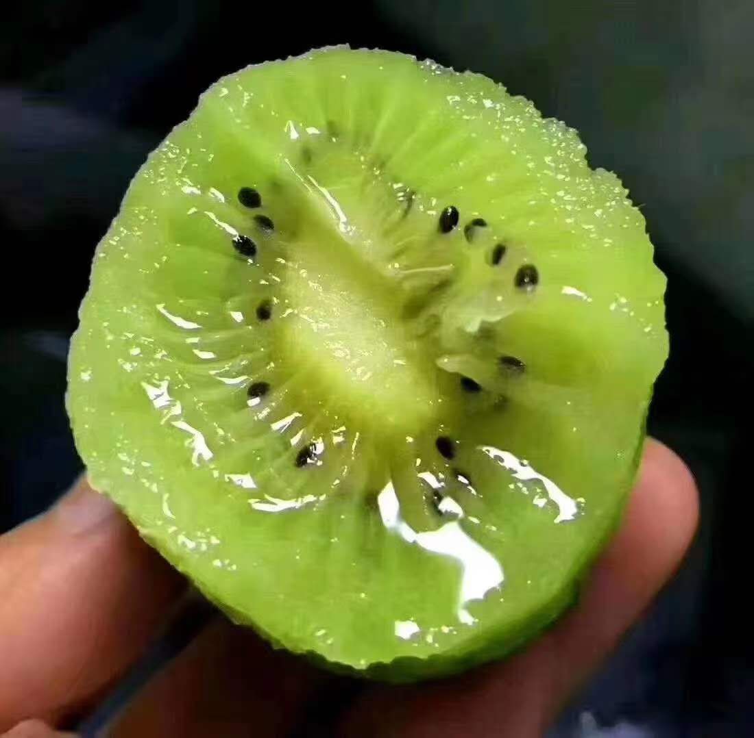 黑山谷猕猴桃切面特写图