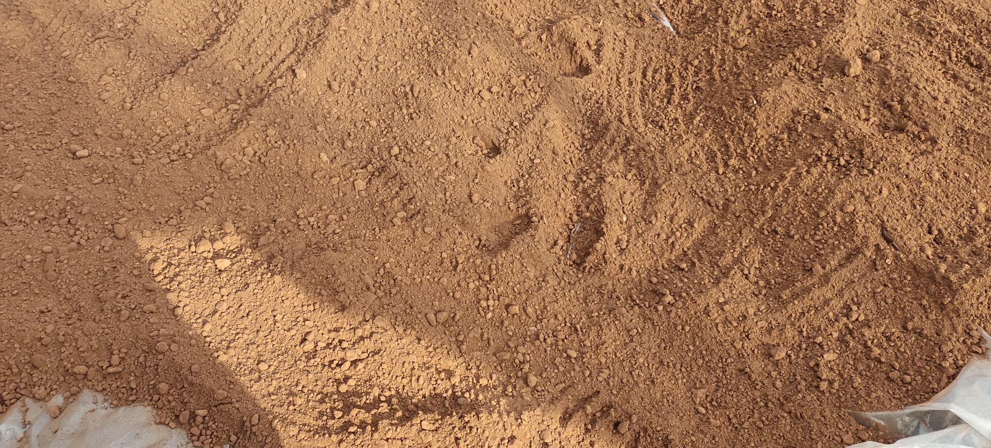 显微镜下观察野生赤灵芝孢子粉结构