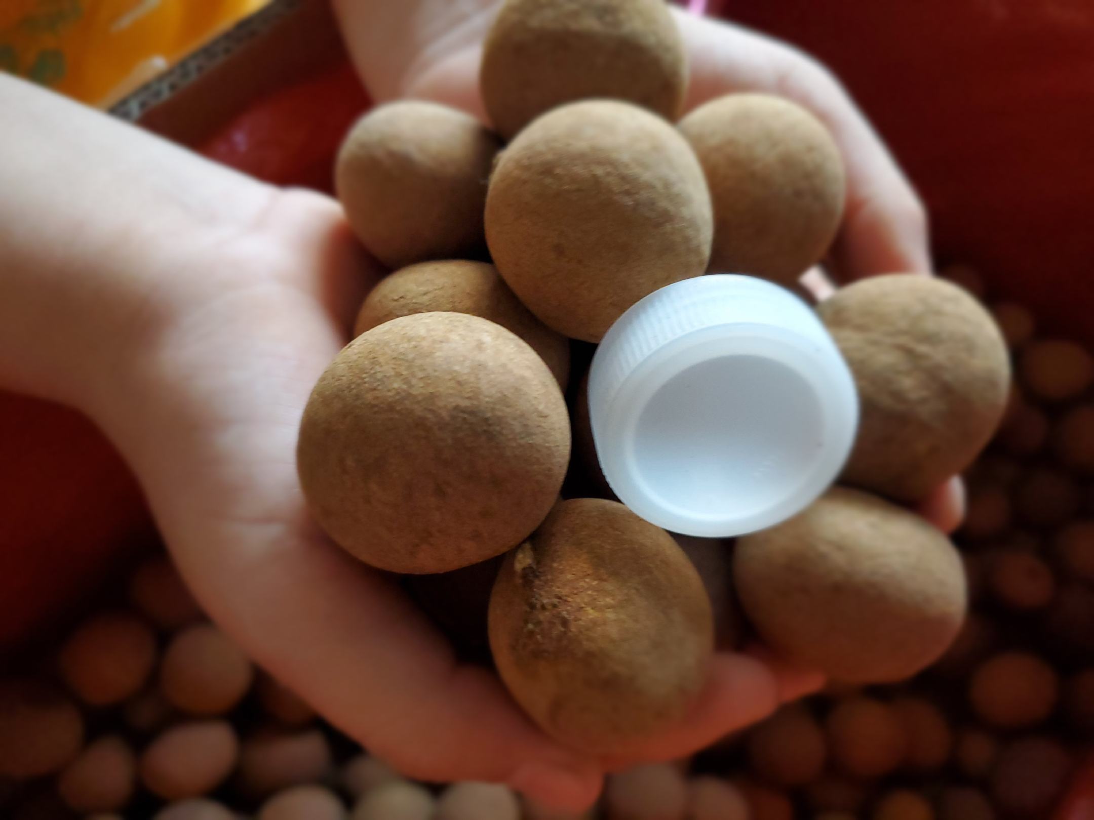 女性手拿葡萄进食图