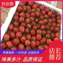 【圣女果】大量上市，产地直发一手货源充足价格优惠