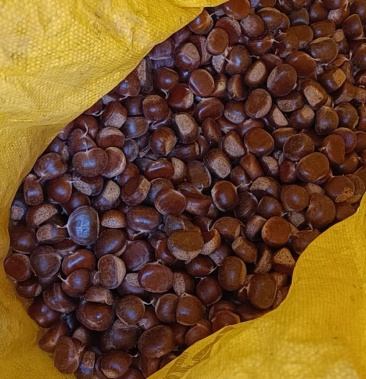 河北承德宽城特产板栗之乡