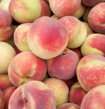 [永莲蜜桃批发]永莲蜜桃价格1.70元/斤 - 一亩田