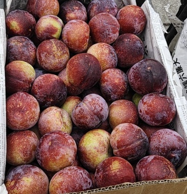 [李子批发]安格诺李子价格1.00元/斤 - 一亩田