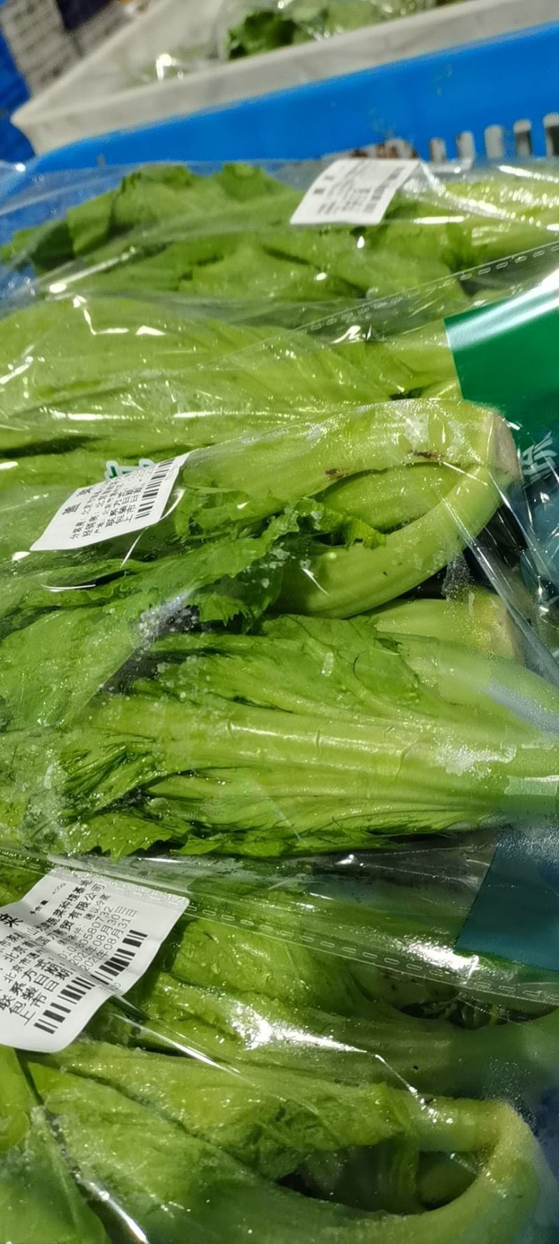北京通州区芥菜 3.50元/斤盖菜
