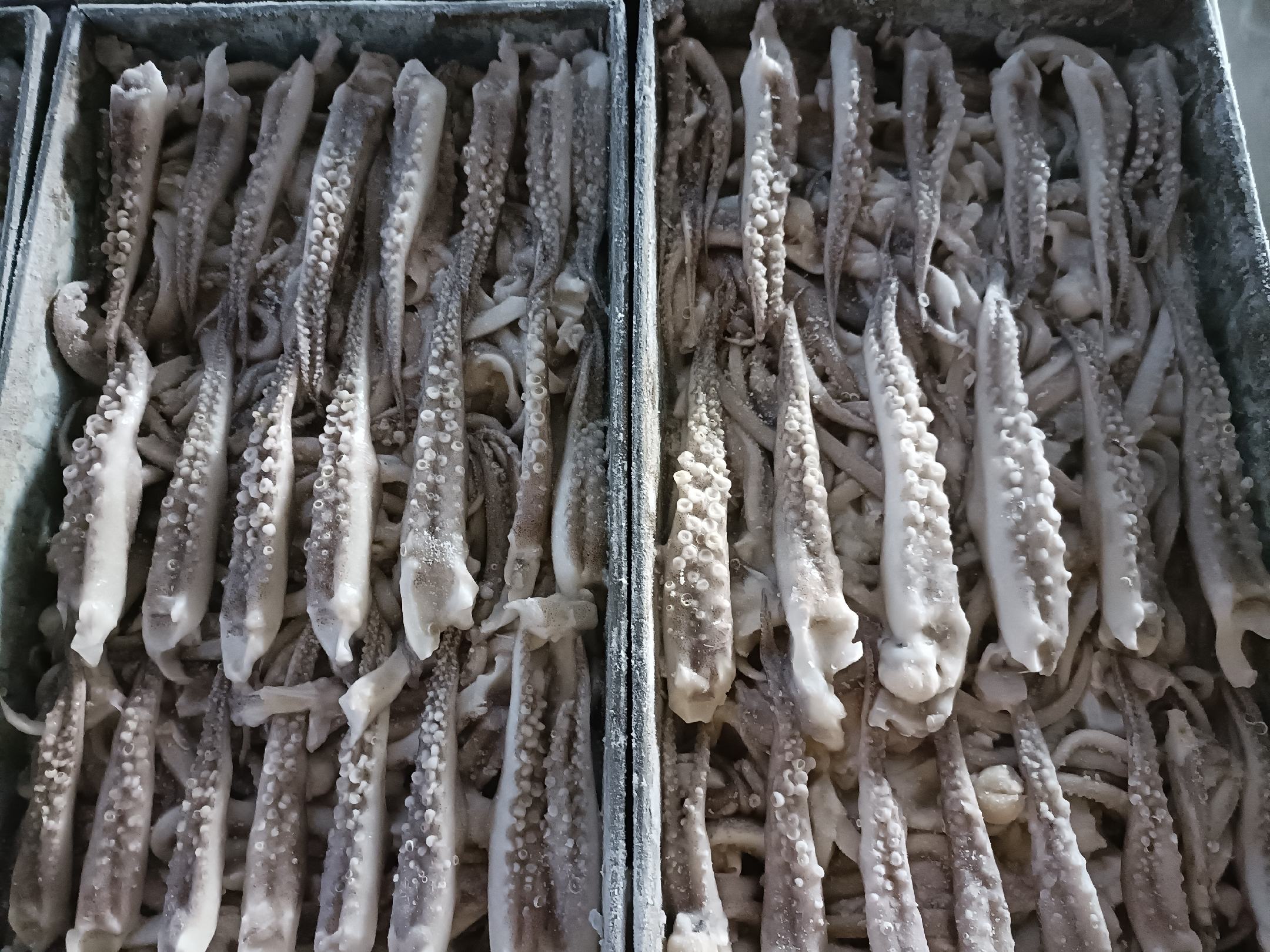 鱿鱼须搭配其他食材摆盘图