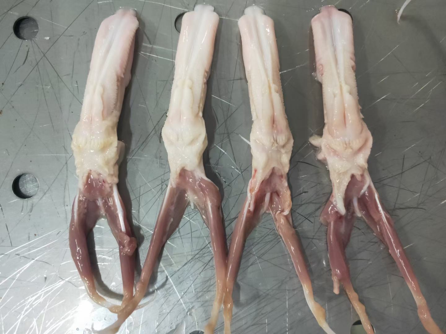 香芋头与鸭肉原材料