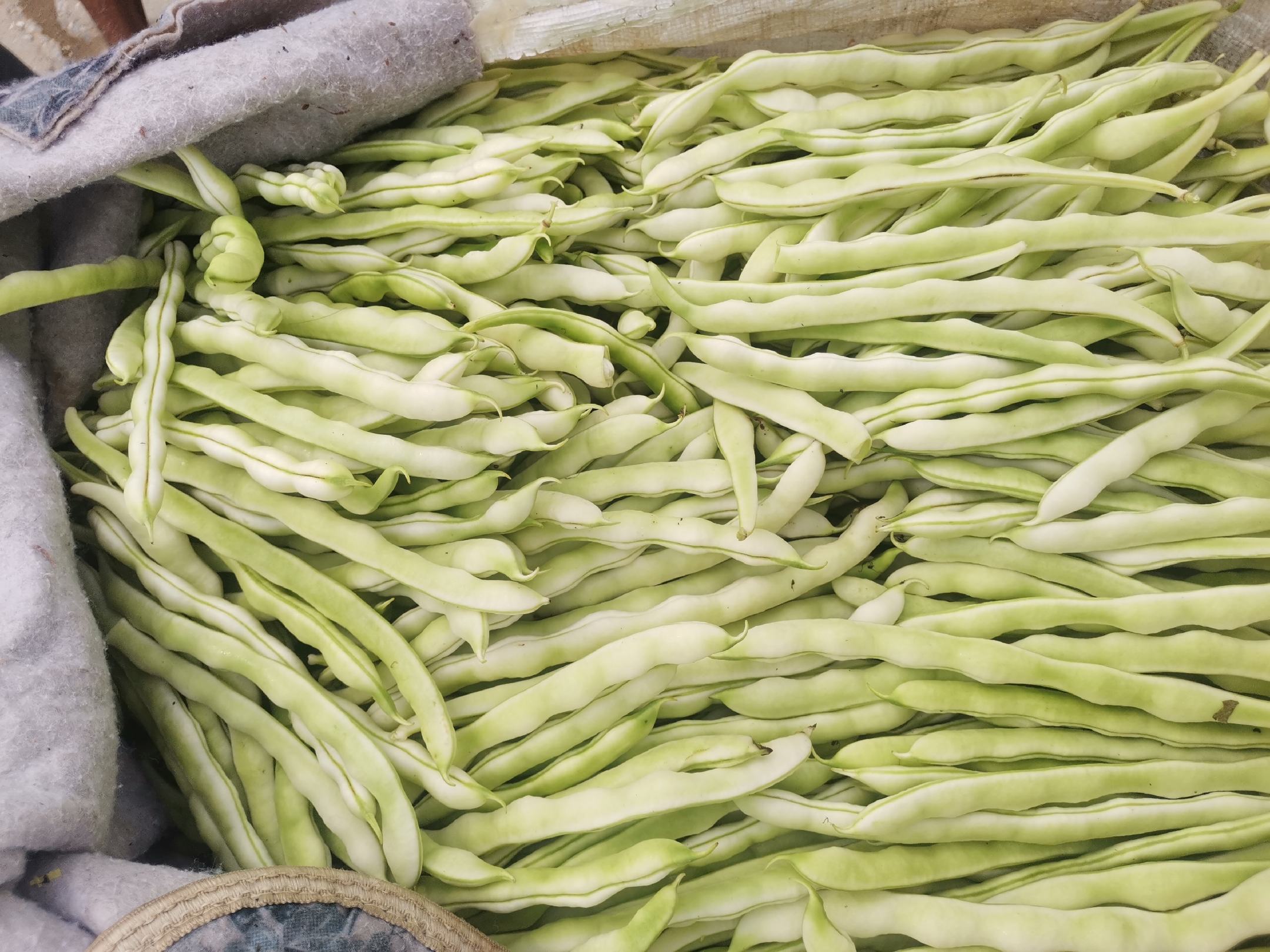 白不老解冻与烹饪场景