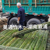 雪峰山2.8米、2.5米、2.4米金竹、铁竹、山竹