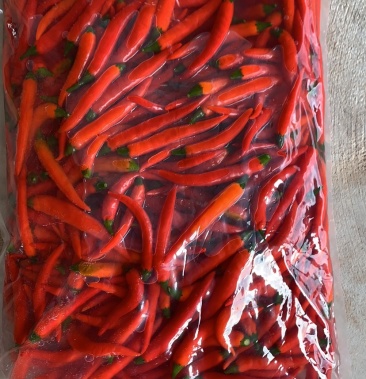 小米辣泡椒鲜货辣度足新鲜辣椒小米椒泡椒泡米椒