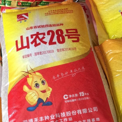 山东济南小麦价格行情走势 - 一亩田