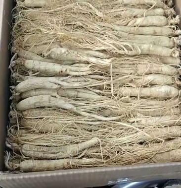 [人参批发]一等条子参价格210.00元/斤 - 一亩田