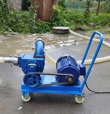 直吸直排抽粪抽水泵可以抽鸡粪鸭粪猪粪污水淤泥厕所下水道等