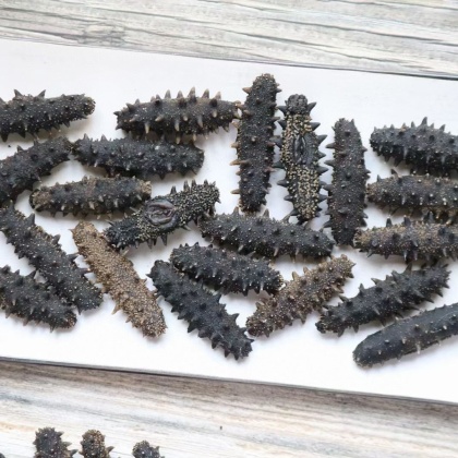 区辽参产地行情> a厂大连淡干50头辽参海参批发泡发率7-8倍大连淡干