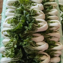 奶白