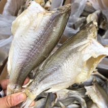 无头鲈鱼干地摊深海鲈鱼干特大号鲈鱼加洲鲈鱼大号淡水鲈鱼干