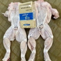 牛蛙肉新鲜冷冻去皮去头去脚趾去内脏牛蛙烧烤火锅批发