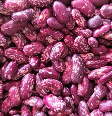 贵州本地紫花豆质量好价格优