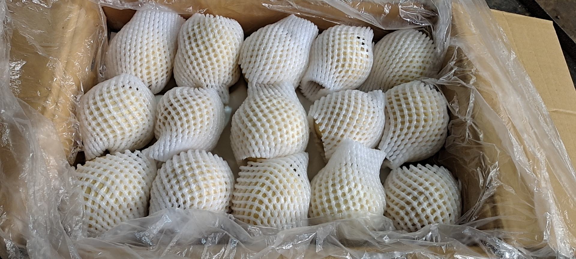 丰水梨分拣包装车间