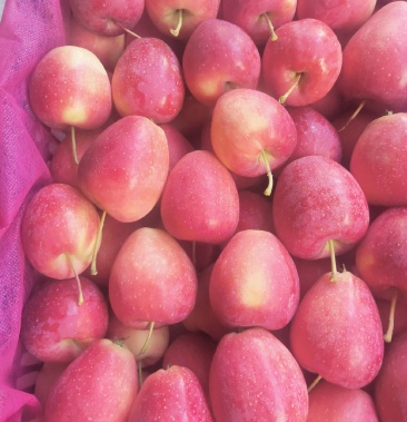 本地特产鸡心果123小苹果质量保证价格便宜