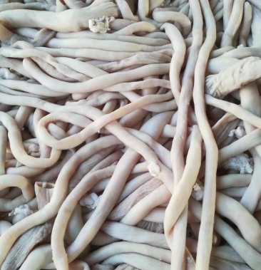 羊肠 羊肠肉 五香全熟羊肠 羊汤馆不二之选