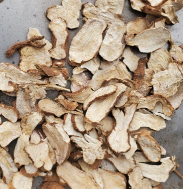 河北地产白术一年低硫白术片生切片