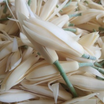 白玉兰花，货源充足，主卖鲜花，打冰保鲜发货