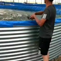 生态养殖镀锌板高密度帆布池，种植养殖镀锌板蓄水池厂家直销
