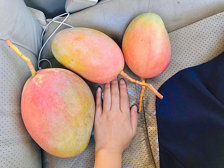 凯特芒挑选对比图