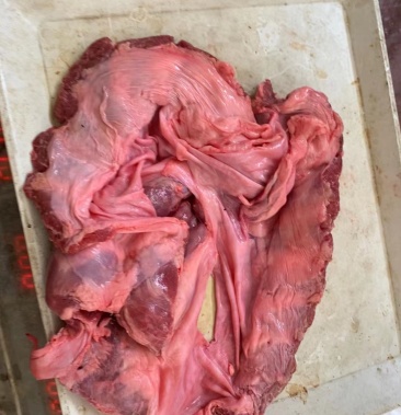 护心肉隔山肉挡风肉