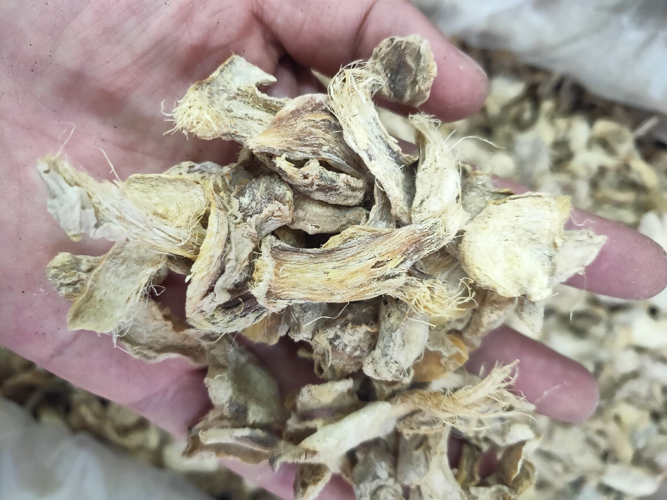 手部关节敷姜示意图