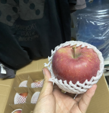 云南昭通香苹果,脆香甜,现摘现发!欢迎品尝!6kg