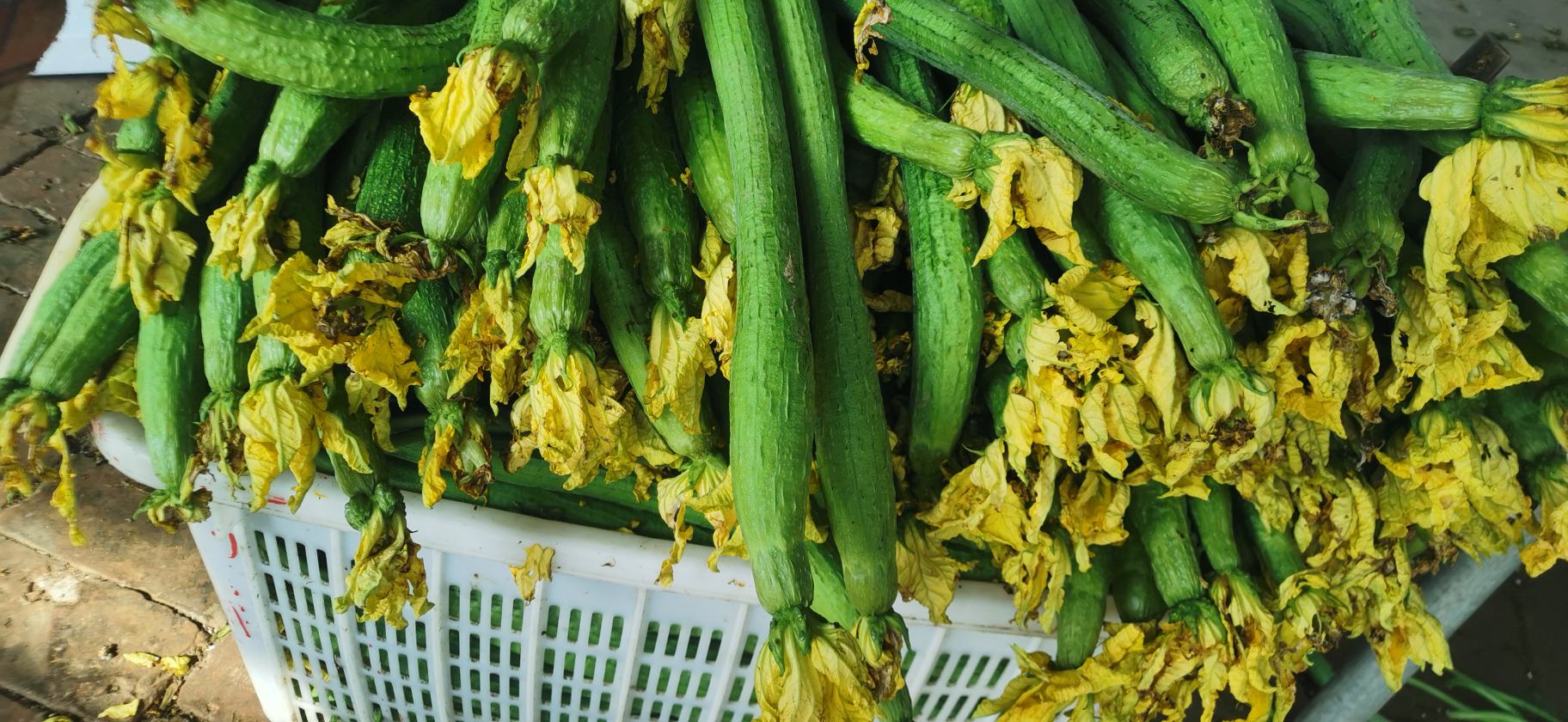 丝瓜花与豆腐汤成品图