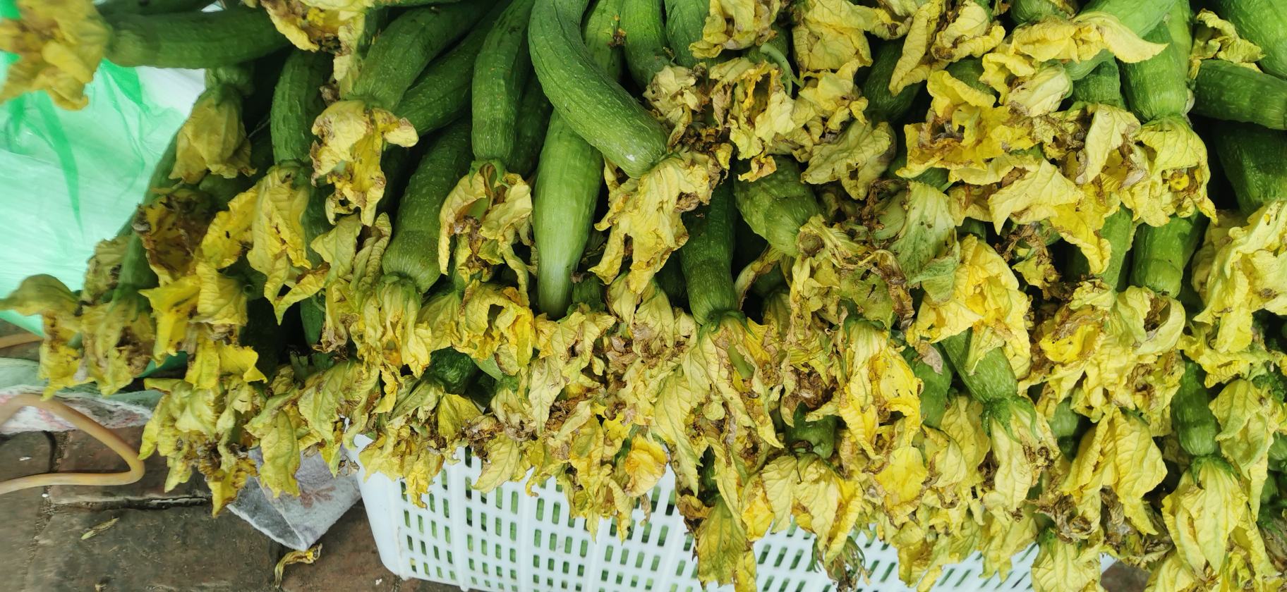 丝瓜花炒蛋配图