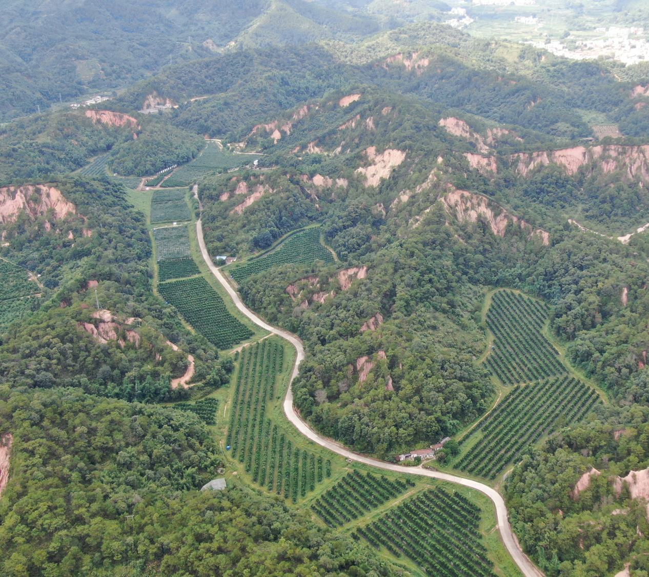云南元阳县生态种植模式示意图