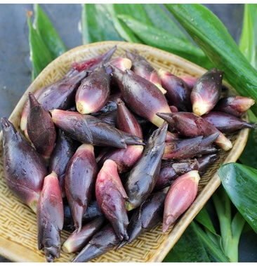 [阳荷批发]阳荷,自家绿色种植价格4.00元/斤 - 一亩田