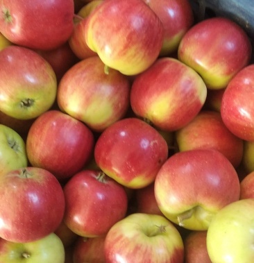 [海棠果批发]金红123了砂果价格1.00元/斤 - 一亩田