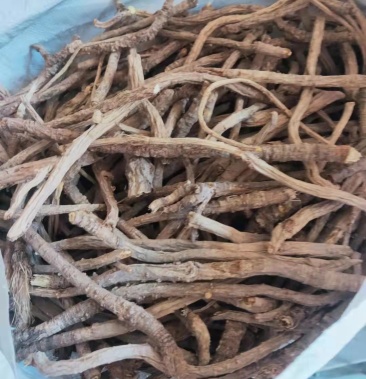 [防风批发]野生防风大量收的来价格90.00元/公斤 - 一亩田