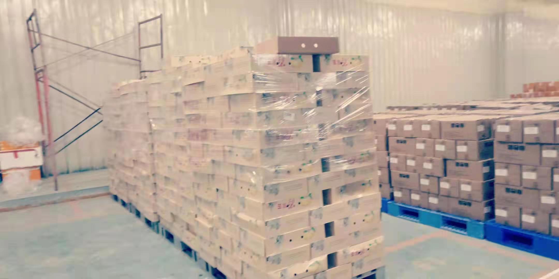 现代化的丰水梨分拣包装车间,工人正在将分级后的丰水梨放入定制纸箱,箱子印有‘精品丰水梨’字样和品牌LOGO,旁边堆放已打包完成的快递包裹,背景可见自动称重机和贴单设备,体现高效电商物流运作流程 丰水梨包装与电商发货场景