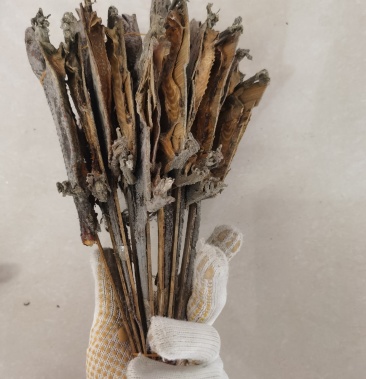 [蛤蚧批发]蛤蚧价格45.00元/个 - 一亩田