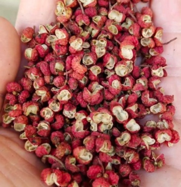 包邮陕西渭南大红袍花椒货源充足基地直供2021新