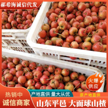 沂蒙山区，优质山楂，色鲜味美，上市早，物美价兼